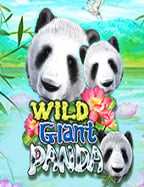 mafia888 เครดิต ฟรี 100 สุดยอดโปรที่คุณไม่ควรพลาด